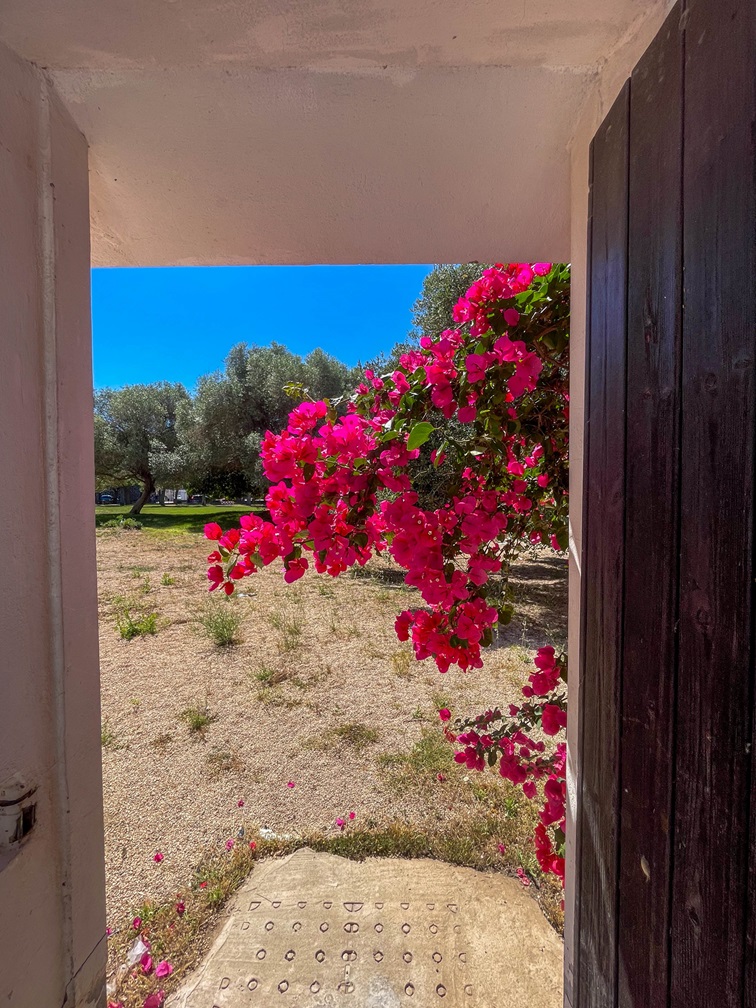 28 Serramanna semi-indipendente con cortile.