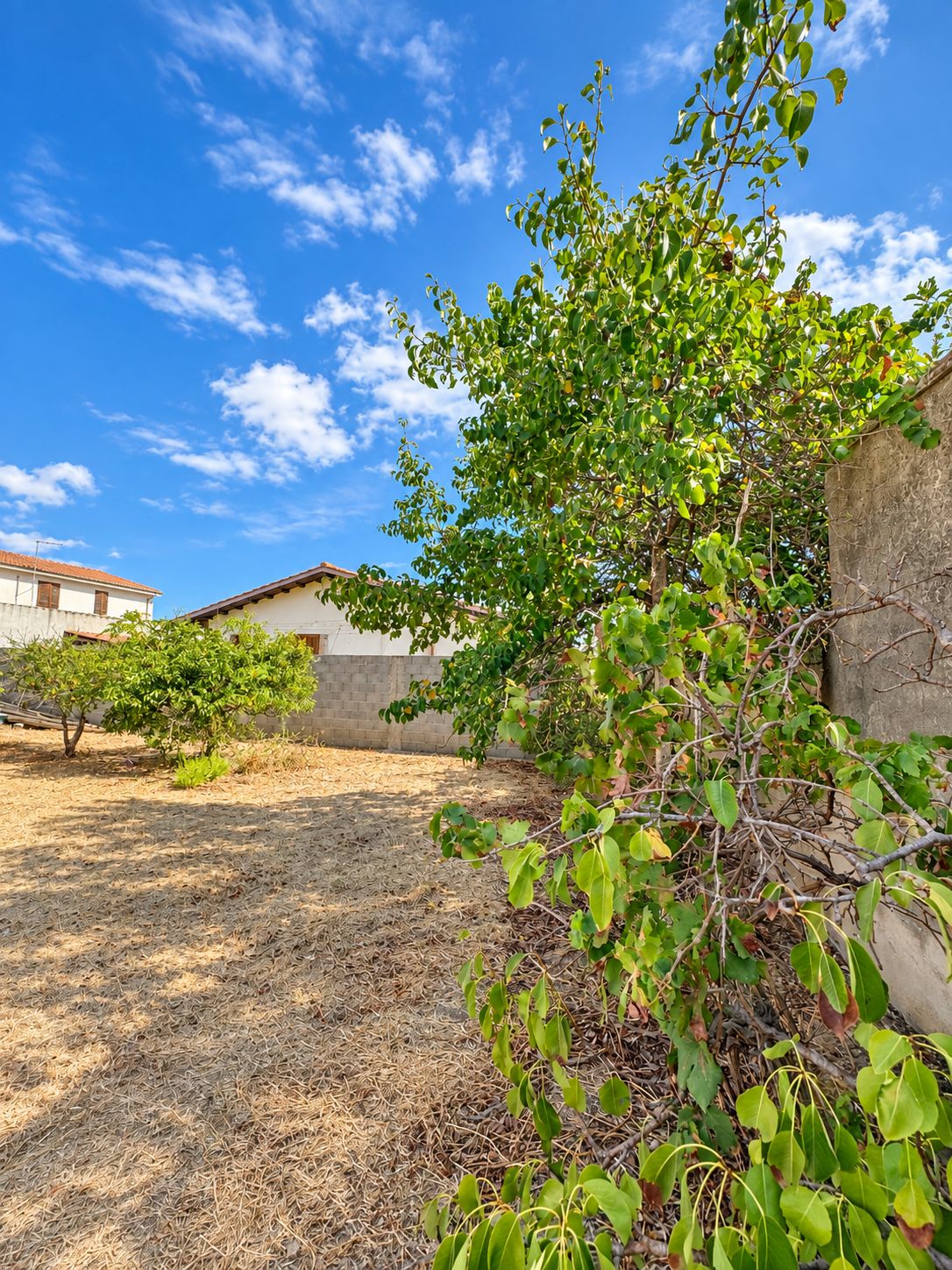 21 Vallermosa – Casa indipendente con ampio terreno di circa 1.600 mq
