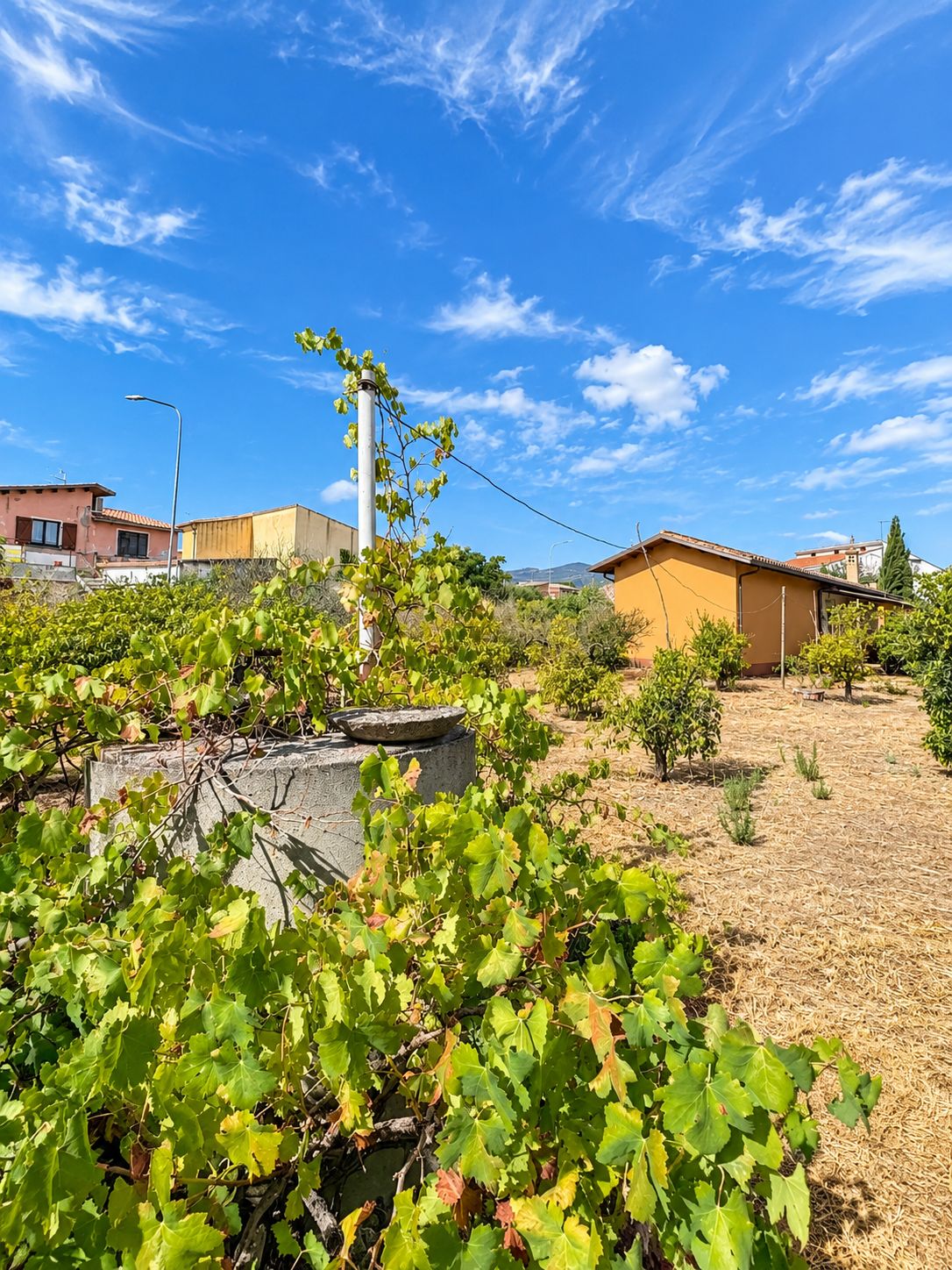 23 Vallermosa – Casa indipendente con ampio terreno di circa 1.600 mq