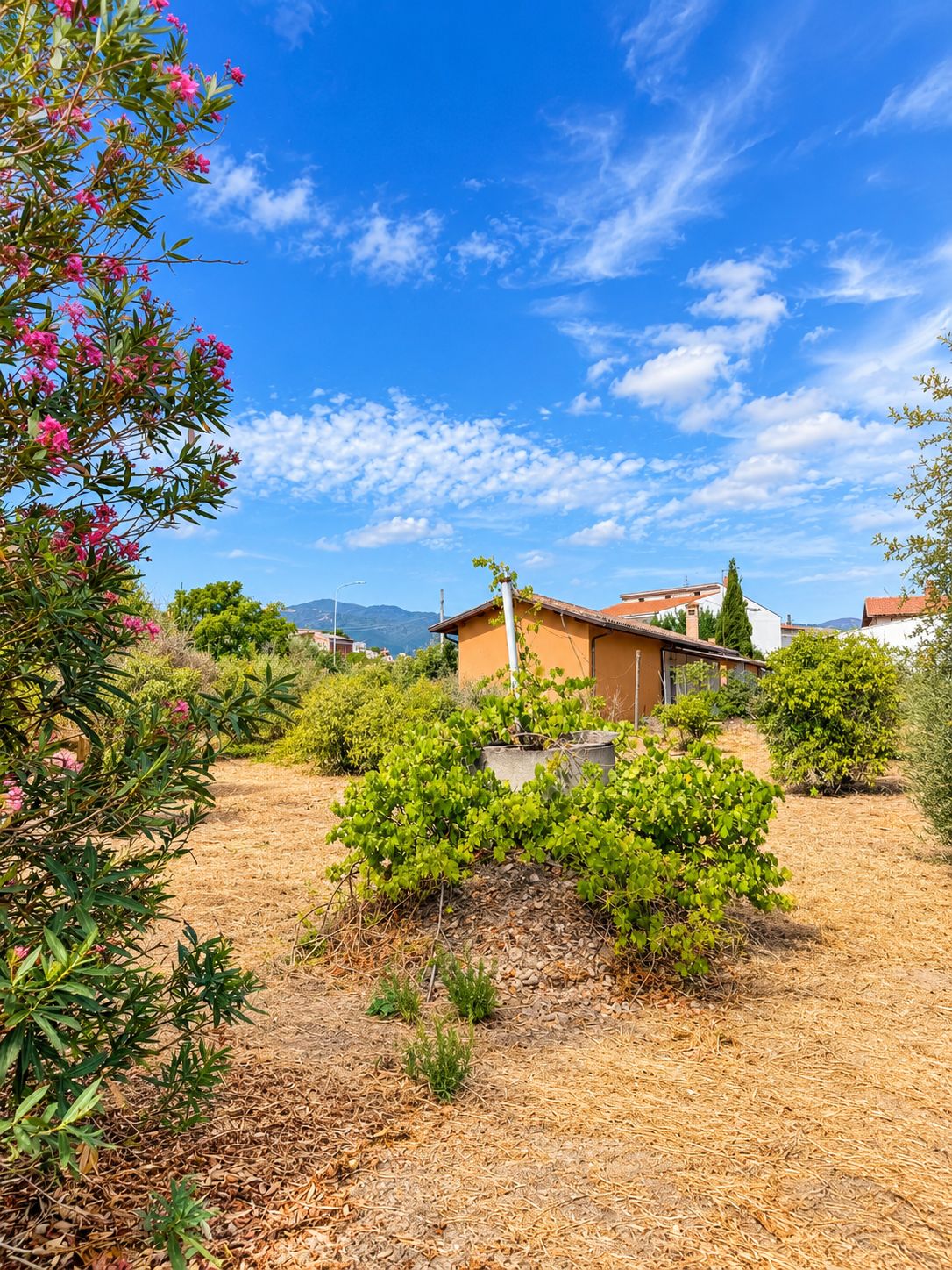 25 Vallermosa – Casa indipendente con ampio terreno di circa 1.600 mq